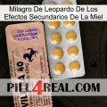 Leopard Miracle Of Honey Side Effects 41